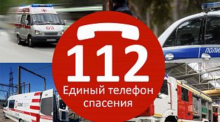 Итоги обращений по единому номеру «112»